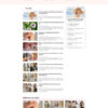 Theme wordpress tin tức 11