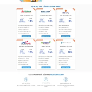 Theme wordpress dịch vụ tài chính vay tiền 1